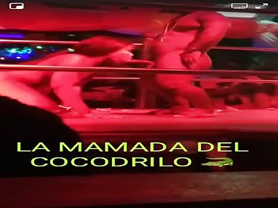 la del cocodrilo