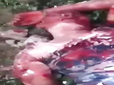 Thief Takes Brutal Beating