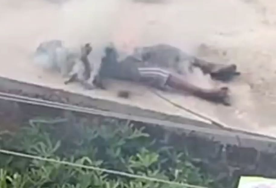 Kid Gets Fried Trying to Retrieve Kite