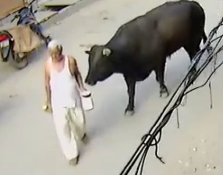 Elderly Man Gets The Horns