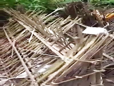 Disturbing funeral in Indonesia