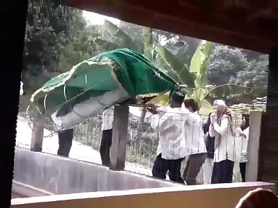 The Body 'Plop' in The Pool