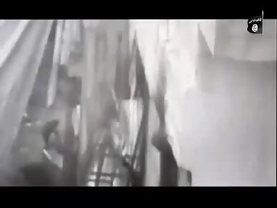 arabs always killing each other