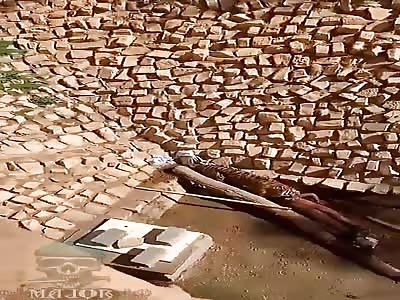 man being attacked by tiger