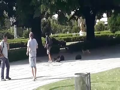 Woman Repeatedly Stabbed in Broad Daylight