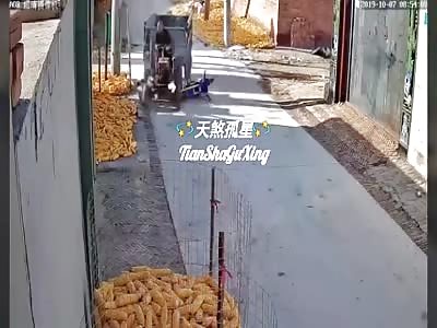 biker collides with freighter