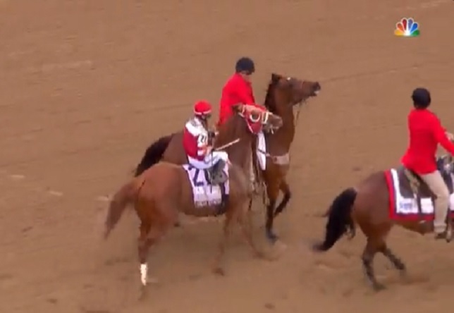 Kentucky Derby Winner (80-1) 'Rich Strike' freaking Out After