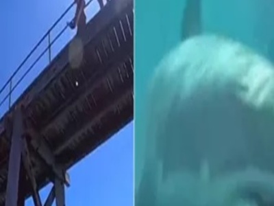 Jumps into Water to Fetch Fishing Pole.... Turns into Shark Attack!