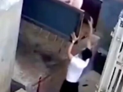 Pig Gets Revenge on A-Hole