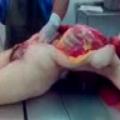 Cutting open a Cute Dead Chick as to be a Medical Examiners Highlight