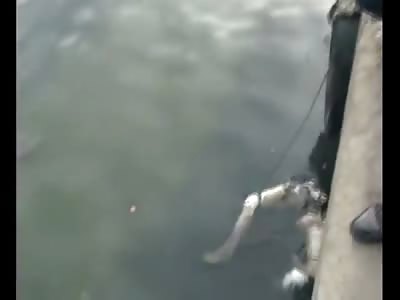 A Real Life Marionette pulled from the Water