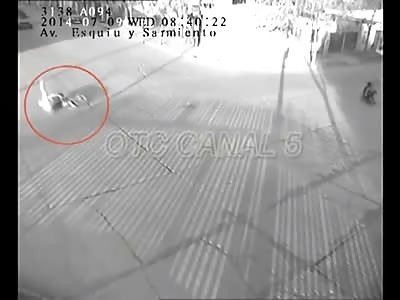 Dog vs Motorbike = OUCH!