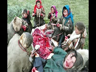 T.J.W.P no. 17 (re worked, no grey box)