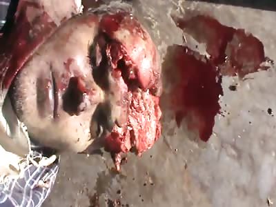 The Last of The Muhammed's. 