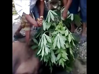 Video shows a buffalo vomiting through the open throat