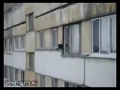 Cat Suicide 