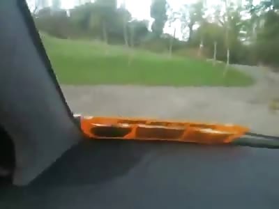 The Most Excited Dog Ever