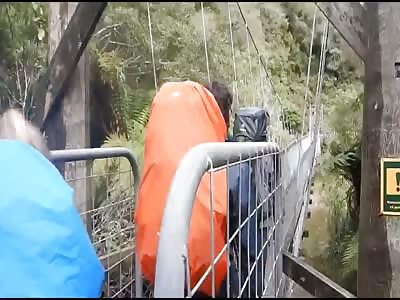 Bridge collapses under students.