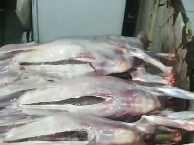 Somewhere in south america...