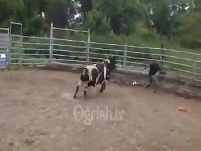 Bull Scalps a Guy