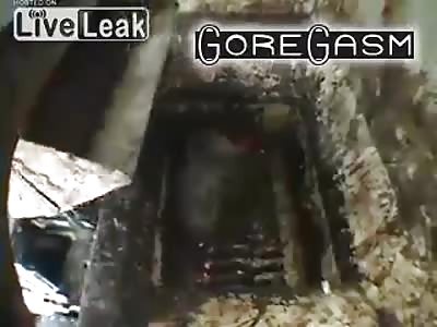 HOW HOT DOGS AND BOLOGNA ARE MADE