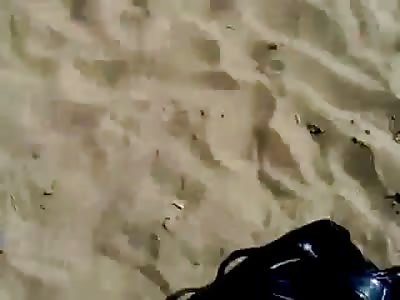 Jerking on the Beach #2