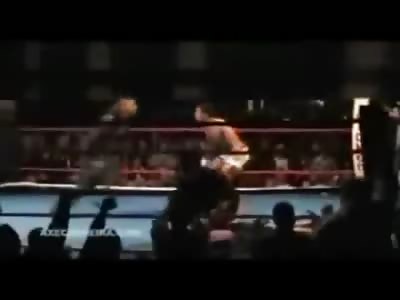crazy MMA knockouts