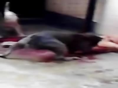 Pitbull Kills Grandmom.... This Is Graphic Warning!!! 