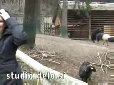 Talk about interracial sex