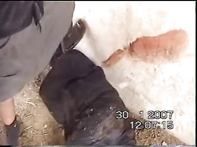 Insurgents executing male with pistol 2007