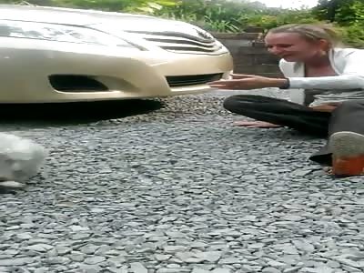 Dog passes out from overwhelming joy