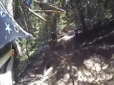 mountain-biker-eats-it-pretty-hard