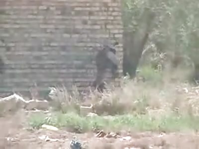 U.S.A Army Murica Power :v 