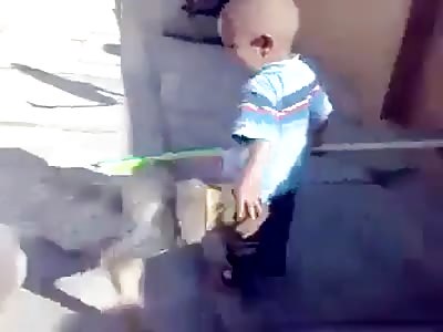 kid punished the dog