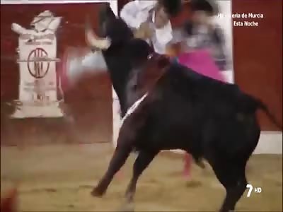 VIVA EL TORO!