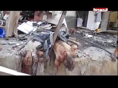 DESTRUCTION, BLOODSHED AND PAIN IN THE FIELDS OF ALLAH