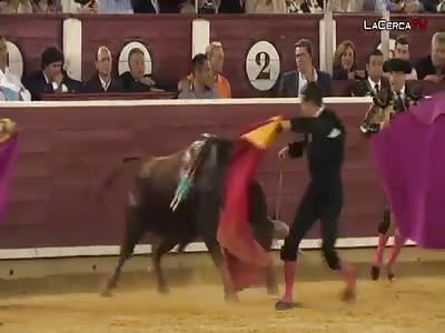 'EL FAGOT' INJURED BY BULL