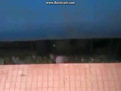 A VERY HEAVY SUICIDE