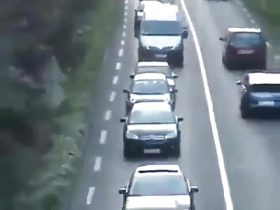 WATCH OUT: GIANT SNAIL ON THE ROAD!