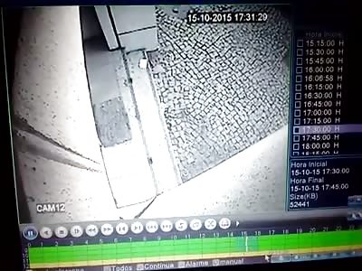 THEY WENT LOOKING FOR WOOL AND CAME BACK SHORN