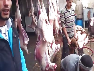 Isis first 5 star restaurant in Syria.