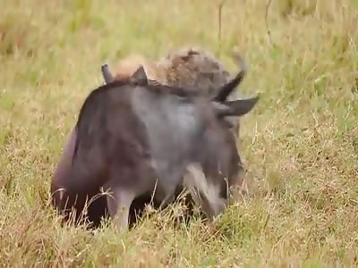 Nature is a brutal world.