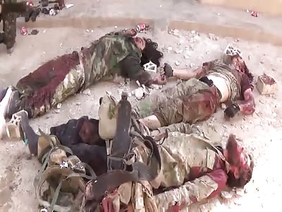 Serious Fly Problem in KOBANI. Guess Why? (Graphic)