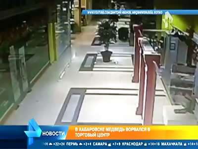  In Khabarovsk, a bear broke into the mall