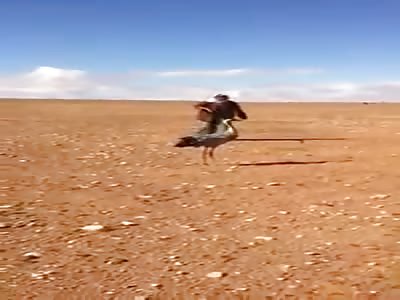 Muslims kill all lifeforms for the fun of it