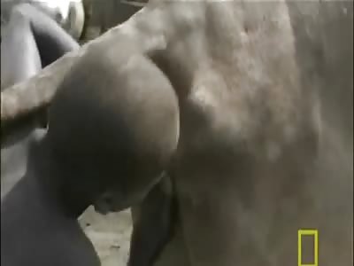 Can I take a shower now?