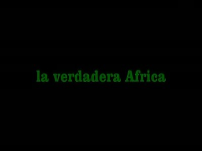 Hippo Fucks Up a Lioness! 