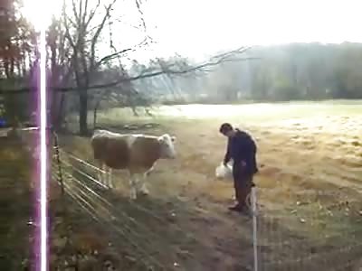 It's Time For Steak!