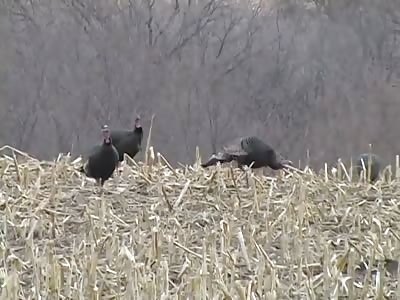 Guy Jizzes Himself After Double Turkey Kill!