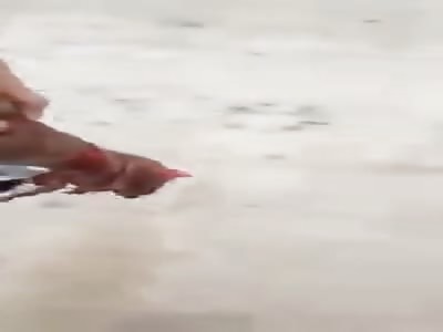 Here is Your Foot Buddy! 